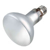 Reptiland ProSun Mixed D3 Tungsten Lamp 100W