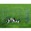 Puppies Play Pen - 8 Sides