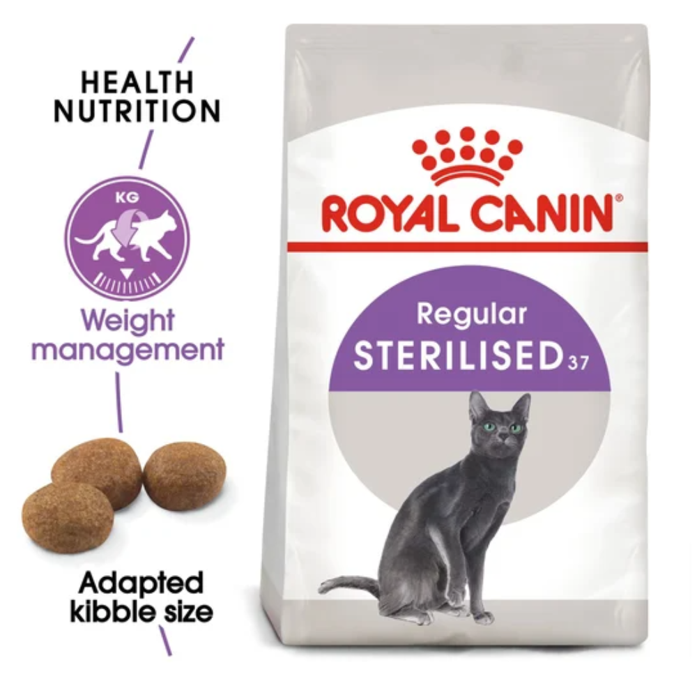 Sterilized milk deals for dogs