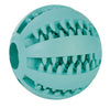 Rubber Denta Fun Baseball Mint