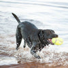 KONG Airdog Squeaker Football