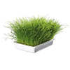 Soft Grass Bowl