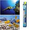 Tetra DecoArt Poster Double Sided Turtle/Reef