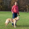 Trixie Stay Harness