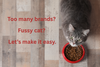 Best Cat Food Ireland 2026: Wet, Dry, Kitten and Senior Compared