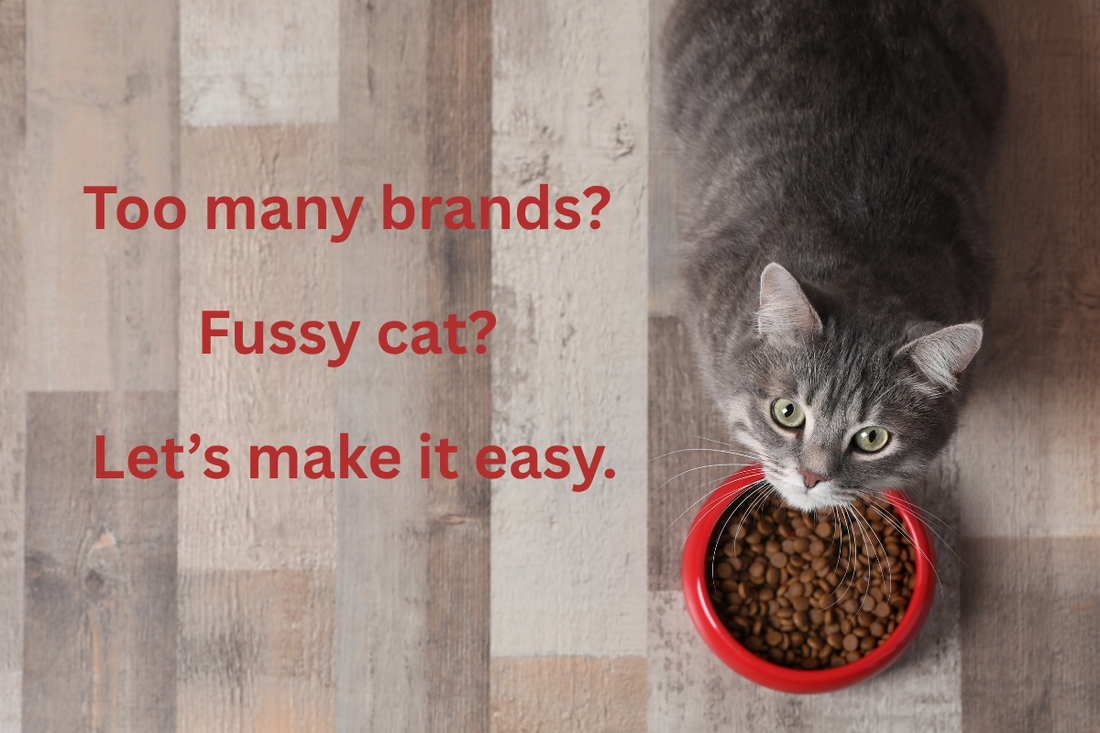 Best Cat Food Ireland 2026: Wet, Dry, Kitten and Senior Compared