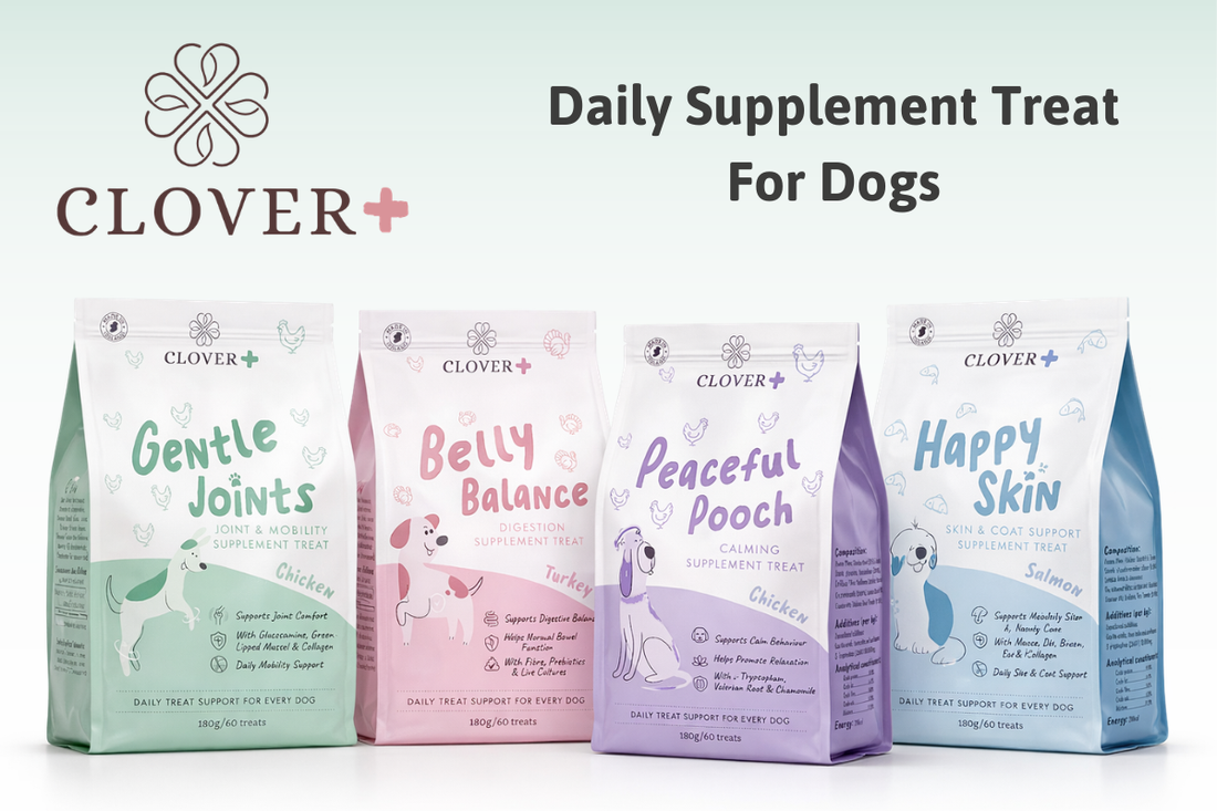 Introducing Clover+ Daily Supplement Chews for Joints, Digestion, Calm and Coat