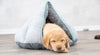 Brown puppy sleeping on hooded bed