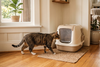 How to Choose the Right Cat Litter