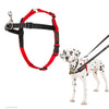 Halti Train - Harness - Front Control
