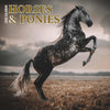 Horses & Ponies Calendar 2026