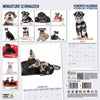 Miniature Schnauzer Modern Wall Calendar 2026