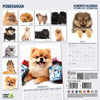 Pomeranian Modern Wall Calendar 2026