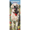 Golden Retriever Slim Wall Calendar 2026