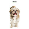 Shih Tzu Slim Wall Calendar 2026