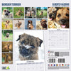 Border Terrier Traditional Wall Calendar 2026