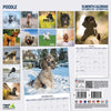 Poodle Traditional Wall Calendar 2026