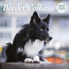 Border Collie Deluxe Calendar 2027