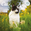 Cat Deluxe Calendar 2027