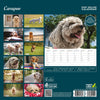 Cavapoo Deluxe Calendar 2027