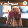 Cockapoo Deluxe Calendar 2027