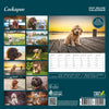 Cockapoo Deluxe Calendar 2027