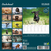 Dachshund Deluxe Calendar 2027