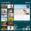French Bulldog Deluxe Calendar 2027