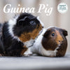 Guinea Pig Deluxe Calendar 2027