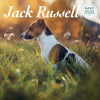 Jack Russell Deluxe Calendar 2027