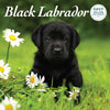 Black Labrador Deluxe Calendar 2027