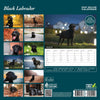 Black Labrador Deluxe Calendar 2027