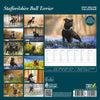Staffordshire Bull Terrier Deluxe Calendar 2027