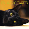 Black Cats Calendar 2027