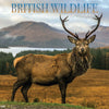 British Wildlife Wall Calendar 2027