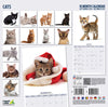 Cat Modern Wall Calendar 2027