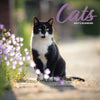Cat Traditional Calendar 2027