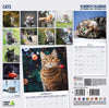 Cat Traditional Calendar 2027