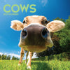 Cows Wall Calendar 2027
