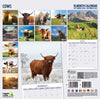 Cows Wall Calendar 2027