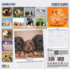 Guinea Pig Traditional Wall Calendar 2027
