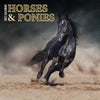 Horses & Ponies Calendar 2027