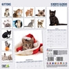 Kittens Modern Calendar 2027