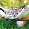 Kitten Traditional Wall Calendar 2027