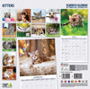 Kitten Traditional Wall Calendar 2027