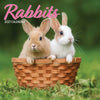 Rabbits Traditional Wall Calendar 2027