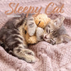 Sleepy Cat Calendar 2027