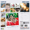 Sleepy Cat Calendar 2027
