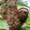 Sloths Wall Calendar 2027