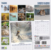 Tigers Wall Calendar 2027